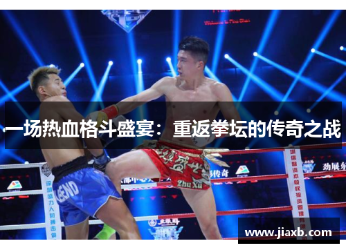 一场热血格斗盛宴：重返拳坛的传奇之战